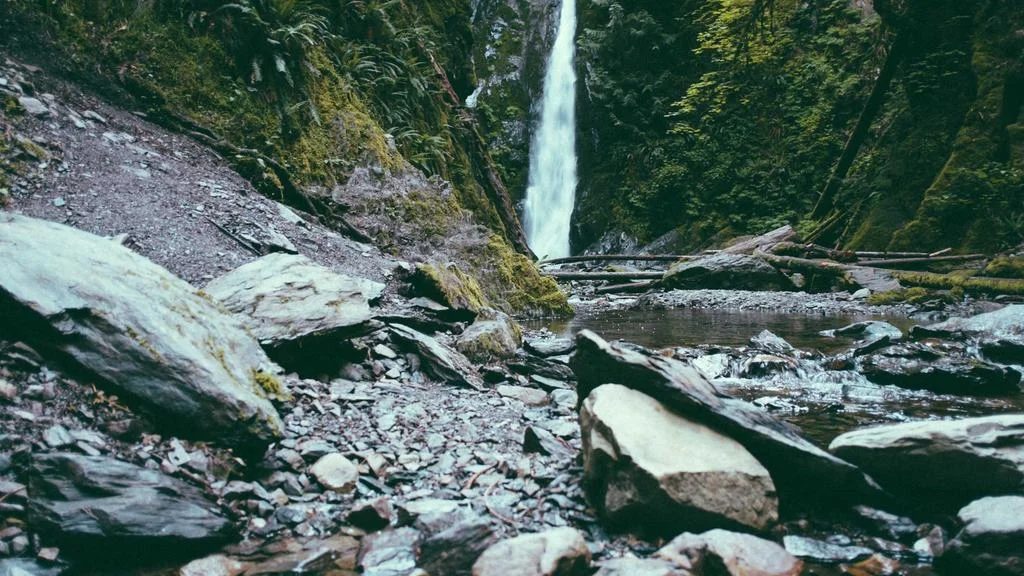 [2026 최신] 건강보험 환급금 조회 미수령 확인 5단계