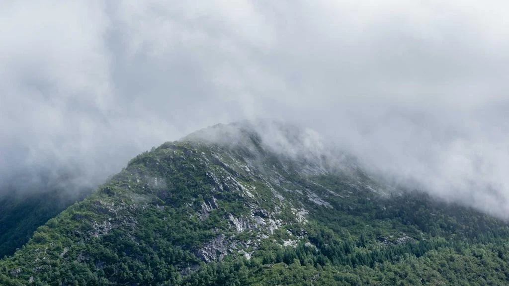 다주택자 양도세 중과 2026 변경사항 완벽 분석 및 대비 전략