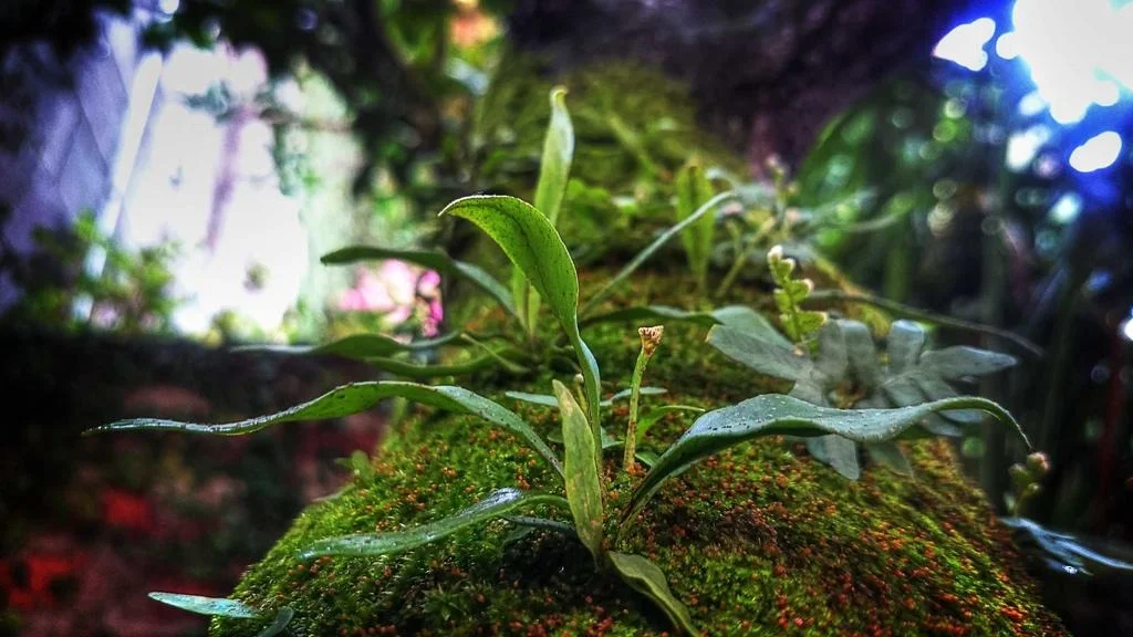 DSR 규제 강화 2026 대출한도 변화