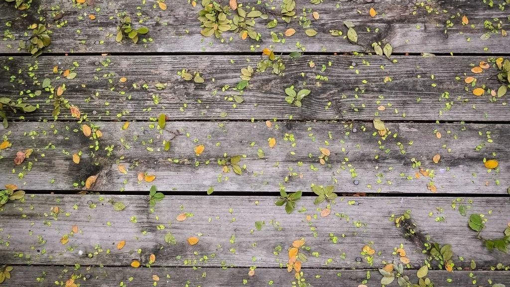 DSR 규제 강화 2026 대출한도 변화