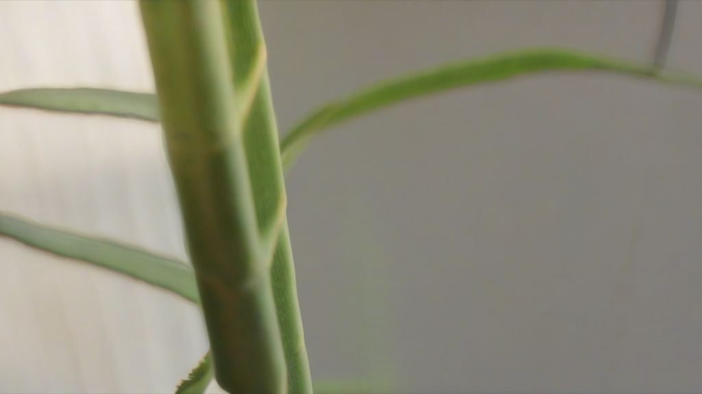 한국인 주부가 냉장고에서 신선한 채소와 과일을 꺼내고 있는 모습.