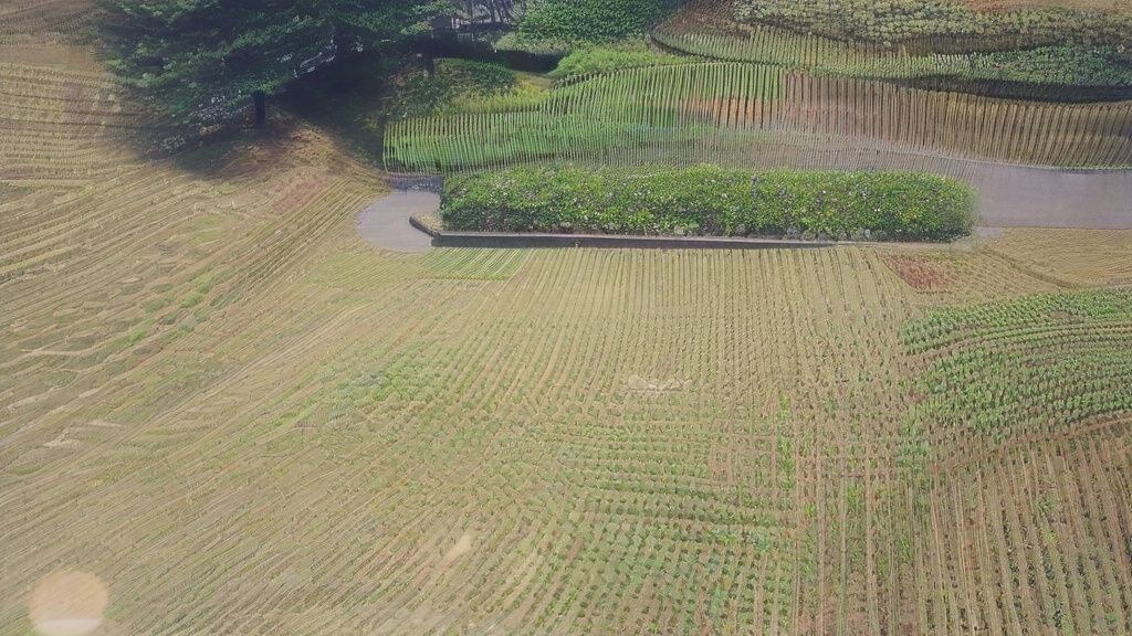 부모님도 반한 가정의 달 선물 BEST 7 (2026년 최신 트렌드)