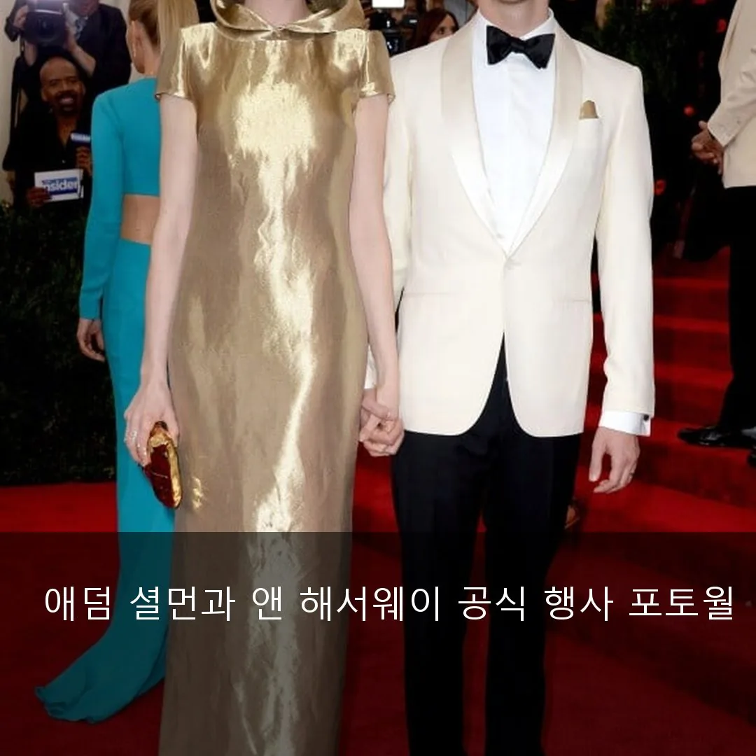 애덤 셜먼과 앤 해서웨이 공식 행사 포토월